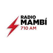 Image of the 'Radio Mambi 710 AM' station