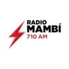 'Radio Mambi 710 AM'のステーションの画像