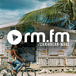 Immagine della stazione 'RauteMusik Caribbean Wave'