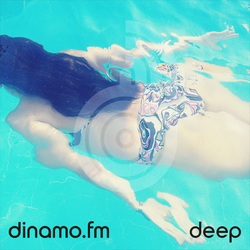 Obraz stacji 'dinamo.fm deep'