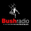 A(z) 'Bush Radio 89.5 FM' állomás képe