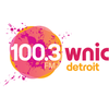 Afbeelding van het '100.3 WNIC' station