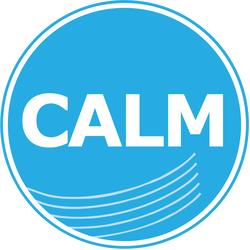 Image de la station 'Calm Radio - Flute'