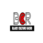 'Black Culture Radio (BCR) International'のステーションの画像