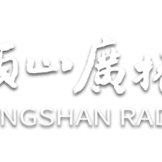 Afbeelding van het '平顶山综合广播' station