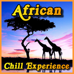 Image of the 'AFRICAN CHILL EXPERIENCE' station