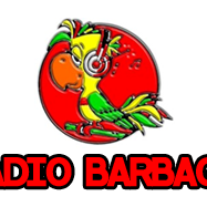 Image of the 'Radio Barbagia' station