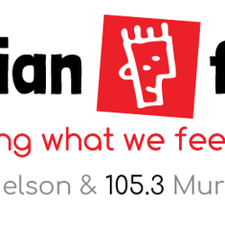 Afbeelding van het 'Brian FM 105.6 Nelson NZ' station