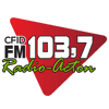 Image of the 'CFID 103.7 "Radio Acton" Acton Vale, QC' station