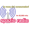 Afbeelding van het 'Spazio Radio' station