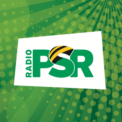 Image of the 'Radio PSR 90s' station