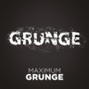 Image de la station 'Radio Maximum - Grunge'