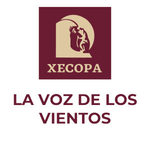 A(z) 'La Voz de los Vientos (Copainalá) - 1210 AM - XECOPA-AM - INPI (Instituto Nacional de los Pueblos Indígenas) - Copainalá, Chiapas' állomás képe