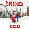 Afbeelding van het 'BritCom One' station