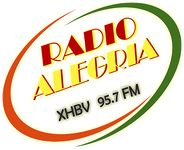 Afbeelding van het 'Radio Alegría (Moroleón) - 95.7 FM - XHBV-FM - Radio Moroleón - Moroleón, Guanajuato' station