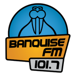 Image of the 'Banquise FM' station