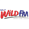 Εικόνα του σταθμού 'Wild FM Iloilo'