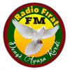 Image of the 'Radio Firat FM 87.3' station