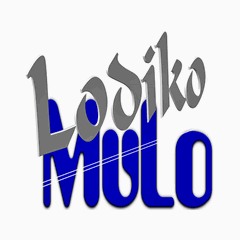 Afbeelding van het 'Lodiko MuLo Komi' station