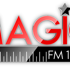 Image of the 'Radio Magic FM 100.9 Tigre' station