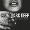 'Sounpark Deep' 방송국의 이미지